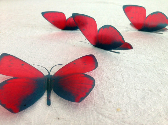 red natural butterfly stickers